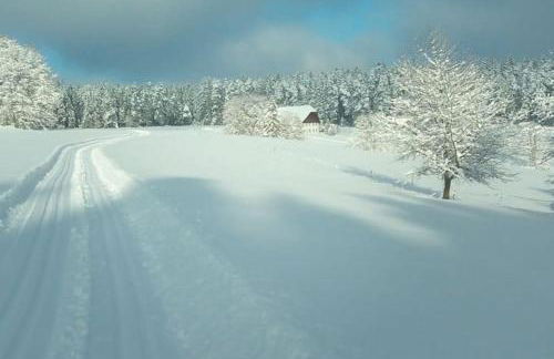 Ferienwohnung im Schwarzwald - Foto 21