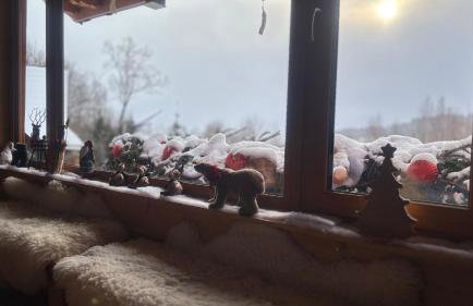 Apartament Hakerówka - Foto 61