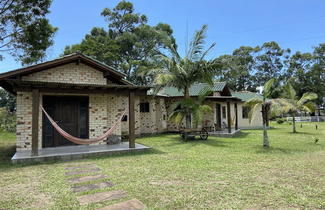 Haras Trevo de Ferro - Photo 30