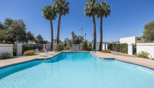 Scottsdale Orange Blossom - Foto 3