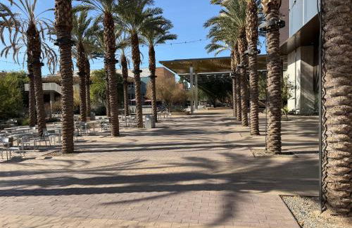 3 Bedroom, 2 Bath Whole House, ASU, Tempe, Scottsdale on Light Rail - Photo 10