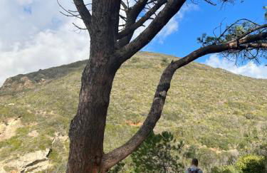 Il giardino di Gaia - Photo 53