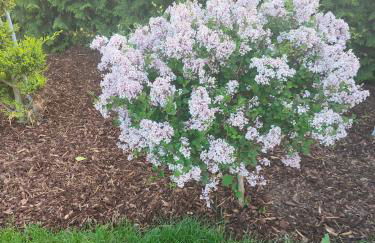 Mariolas Tinyhouse - Foto 34