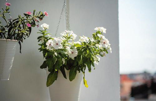 Catania, centro, Sicilia, Italia, Grandi Sogni Home Appartamento - Foto 26