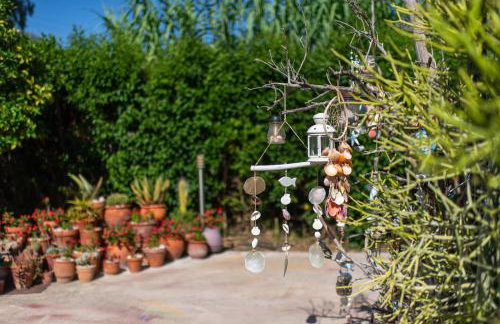 Amarylis Apartments - Foto 19