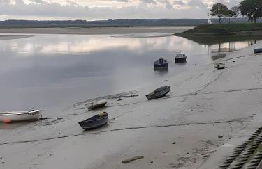 Les Coquelicots En Baie De Somme - Foto 19