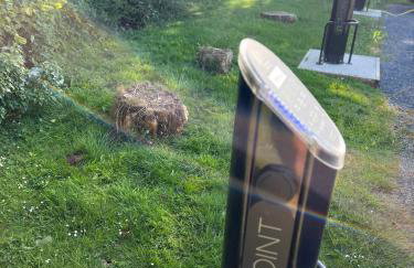 Saddlers Cottage with indoor pool, tennis court and lots more Tenby area - Foto 23