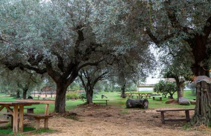 Su Leunaxiu - Foto 118