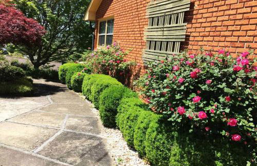 Secret Garden Getaway - Apartment in Asheville near the Great Smokey Mountains! - Foto 22