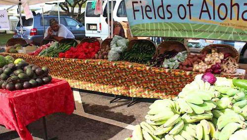 The Perfect Escape - Photo 3