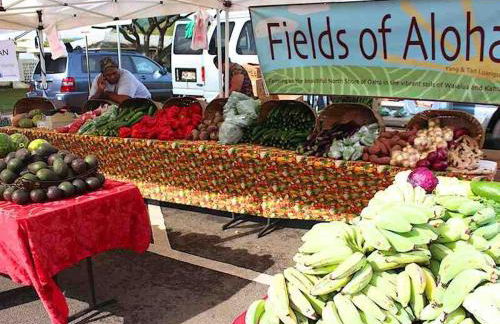 The Perfect Escape - Photo 3