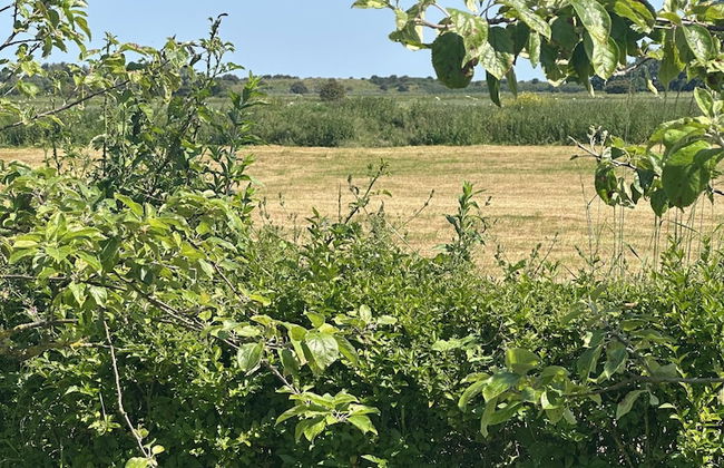 Luxury Glamping Pod With Hot Tub, Fees Apply - Foto 12