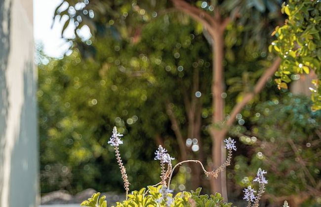 Artistic Vac Villa w pool by Sea N' Rent - Foto 65