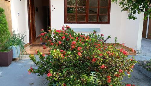 Casa Tapajos - Foto 5, Garden view