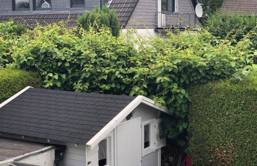 Bel Art Etage mit großem Parkplatz - Foto 38