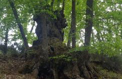 Casa Rural Rincón - Foto 44