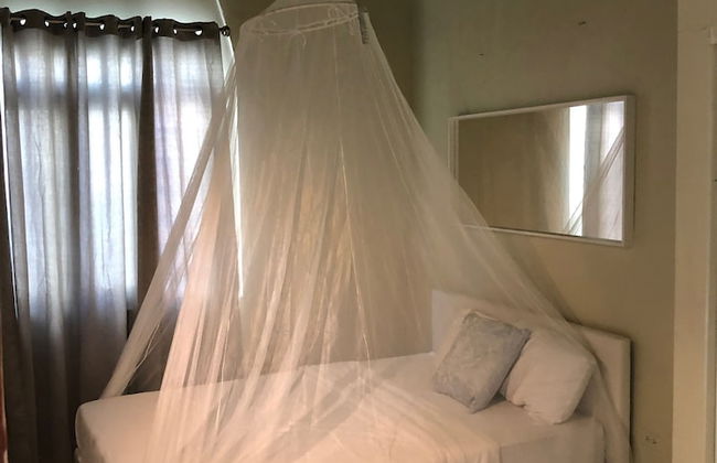 Gladiolas 1 209 - Foto 4