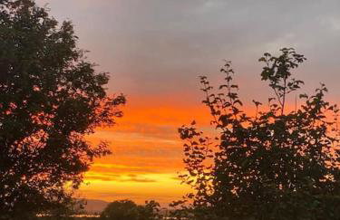 The Furze Farmhouse near St Andrews - Photo 48