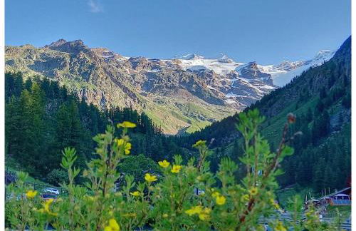 PUNTA VITTORIA SUB 14 - RESIDENCE ANDERBATT GRESSONEY - 3 locali - CIR N 0010 - Foto 29