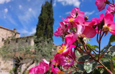 Agriturismo San Sano - Foto 21