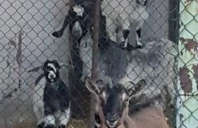 Maddy Appartamento - Foto 25