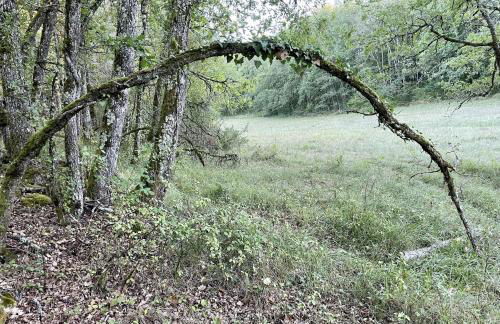 Le Domaine de Camberoux La Grande Longère - Foto 26