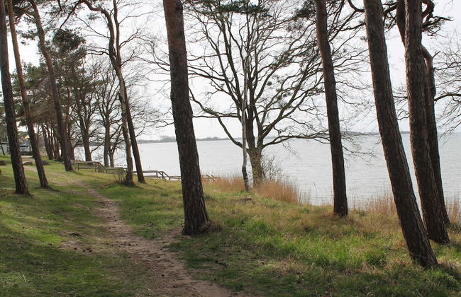 Bungalow in Pepelow Direkt am Haff - Photo 39