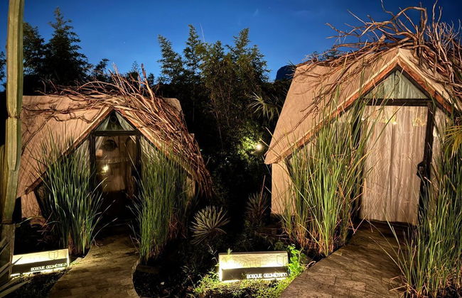 Bosque Geométrico - Foto 74