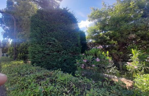 Villa Rosa - Foto 20