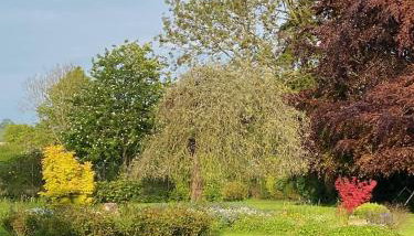 Grange stables - Foto 5, Garden, Garden view