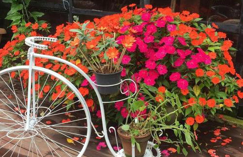 Sitio Alto da Montanha - você em paz com a natureza - Foto 57