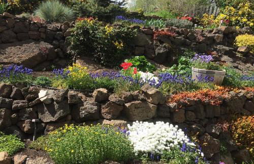 Bluebird Day - Hill Street Beauty - Foto 16