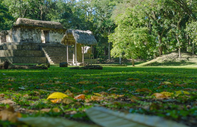 Day Trip to El Ceibal - Photo 1