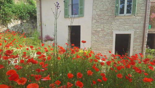 Appartement Nido Visone - Photo 1, Garden view