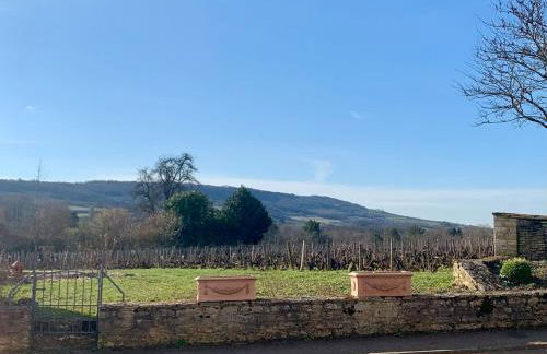 La Maison des Pérolles - Foto 10