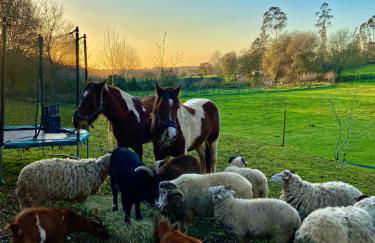 Vale da Silva Villas - Quinta - Foto 9