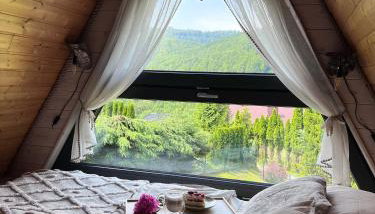 Duszek Lasu - Photo 1, Garden view