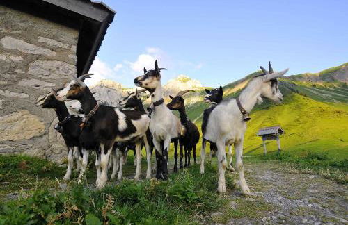Appartement RDC Le Brin de soleil, Gite l Echapée Belle - Foto 28