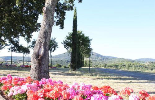 Agriresidence Debbiare - Foto 31