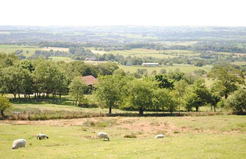 The Lodge at Brambles Farm - Foto 43