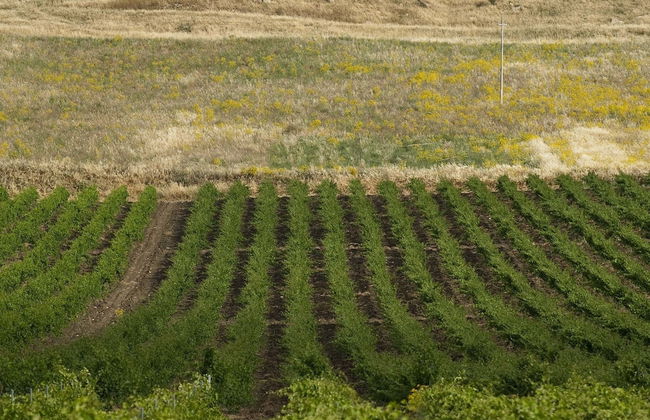Holiday Home in Buseto Near San Vito Lo Capo - Foto 21