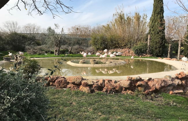 Dina's House - Foto 44