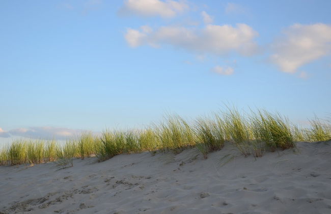 Bungalow in Dunes With Nautical Charm - Foto 48