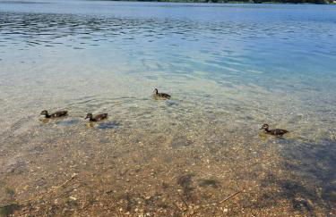 Relax Apartment Seenähe zum Kulkwitzer See - Photo 49