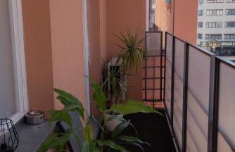 Main Square Dream Apartment - Foto 33