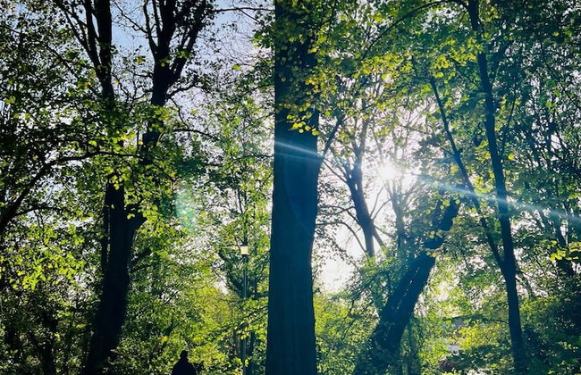 Dapps Hill Haven - between Bristol and Bath, both 9 mins by train! - Foto 38