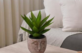 Villa Felenia - Foto 19