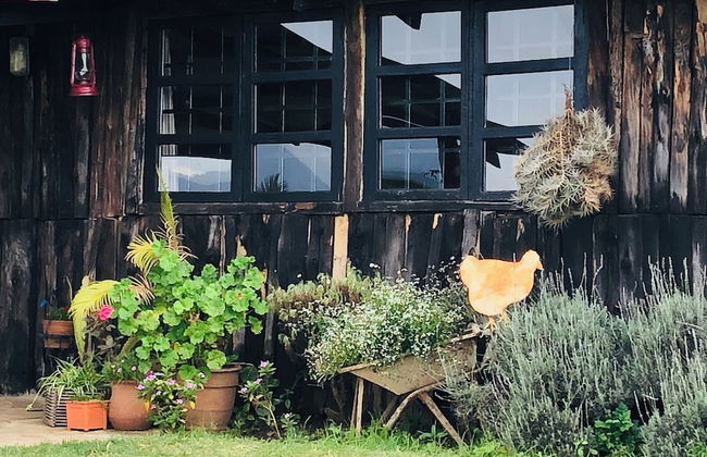 Dream the days away - The Rustic Barn - Foto 46