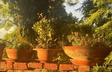 Casa Castello di Morrona - Foto 26