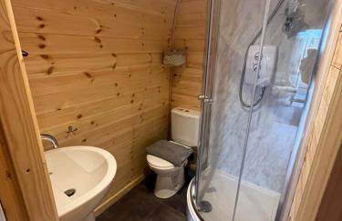 Willow Nook, near Saundersfoot and Tenby - Foto 19